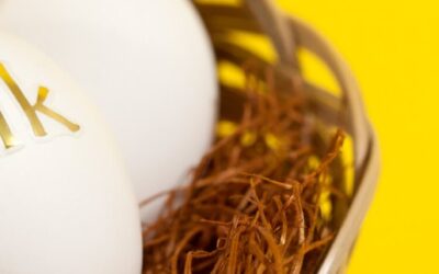 Choices for Your 401(k) at a Former Employer