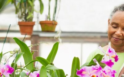 Retirement Plan Choices for Small  Businesses