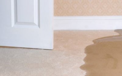 Protecting Your Home Against Flood Loss